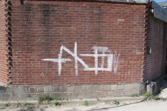 Image-3